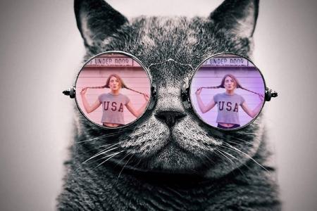 Funny Cats Wearing Glasses Photo Frame