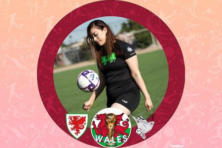 Wales Frame World Cup 2022